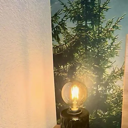 Schwarzwaldgefluester Apartamento *